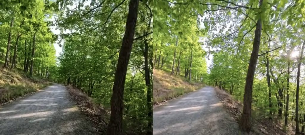 ①Insta360 AcePro2で撮った林の画像とInsta360 X5で撮った同じく林の画像見比べ