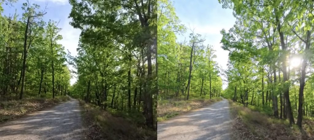 2つ目のInsta360 AcePro2で撮った林の画像とInsta360 X5で撮った同じく林の画像見比べ